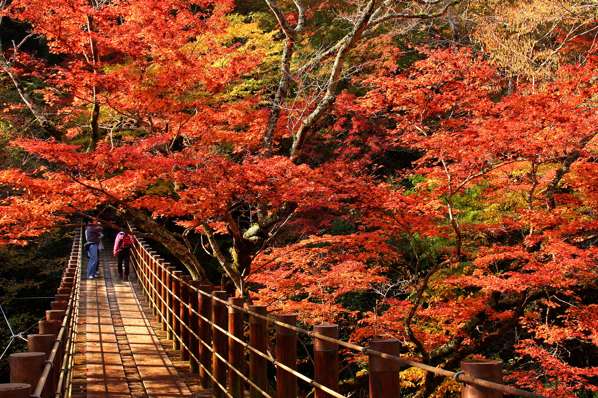 茨城県・花貫渓谷