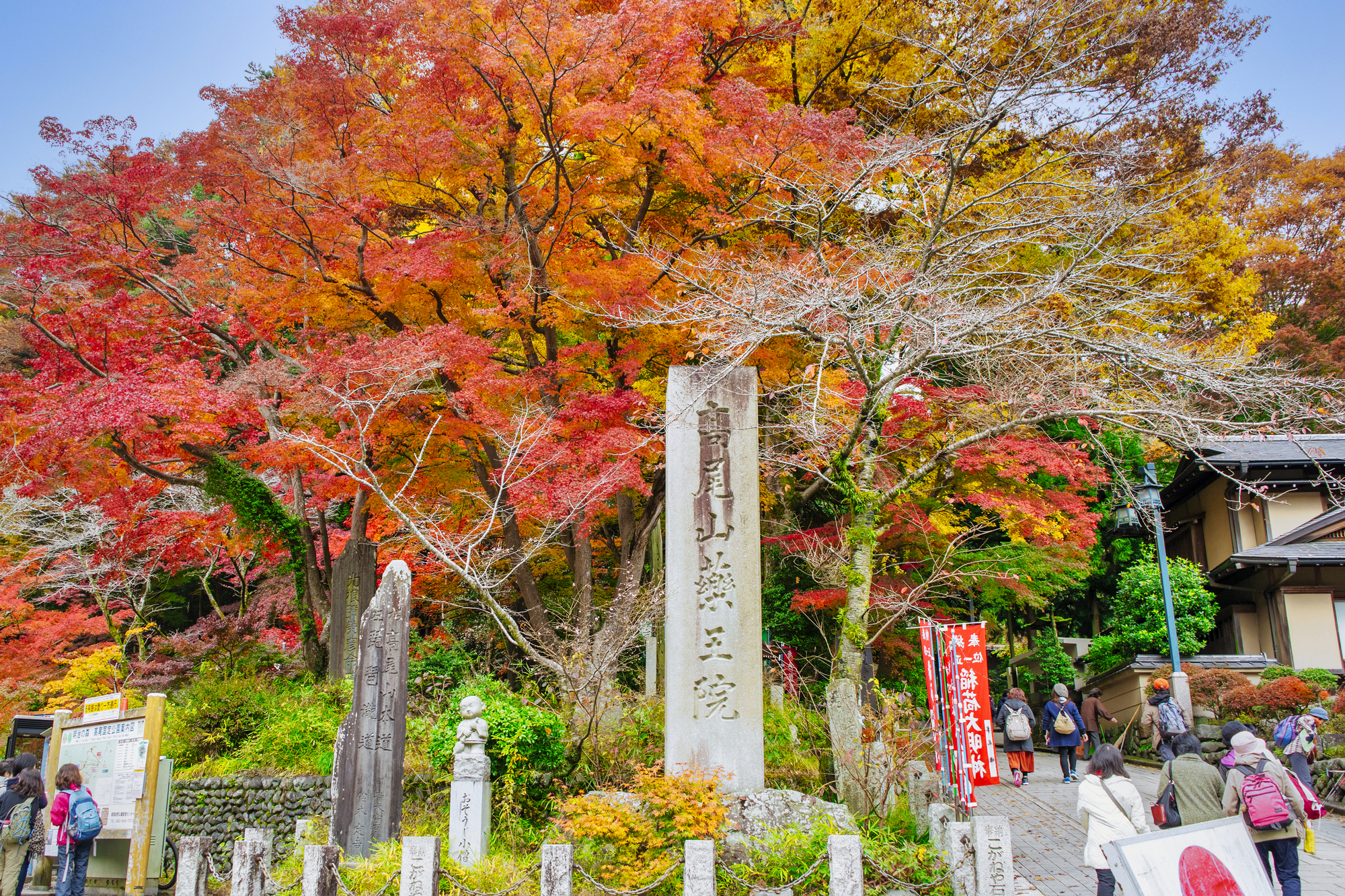 東京都・高尾山