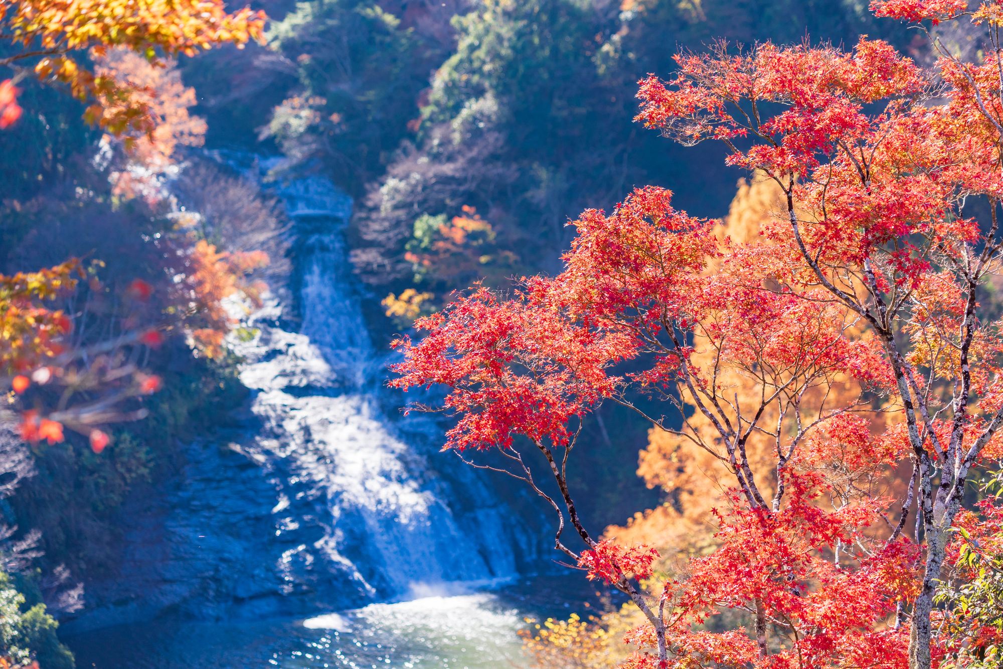 千葉県・養老渓谷